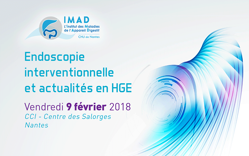 Visuel Journée IMAD Nantes 2018
