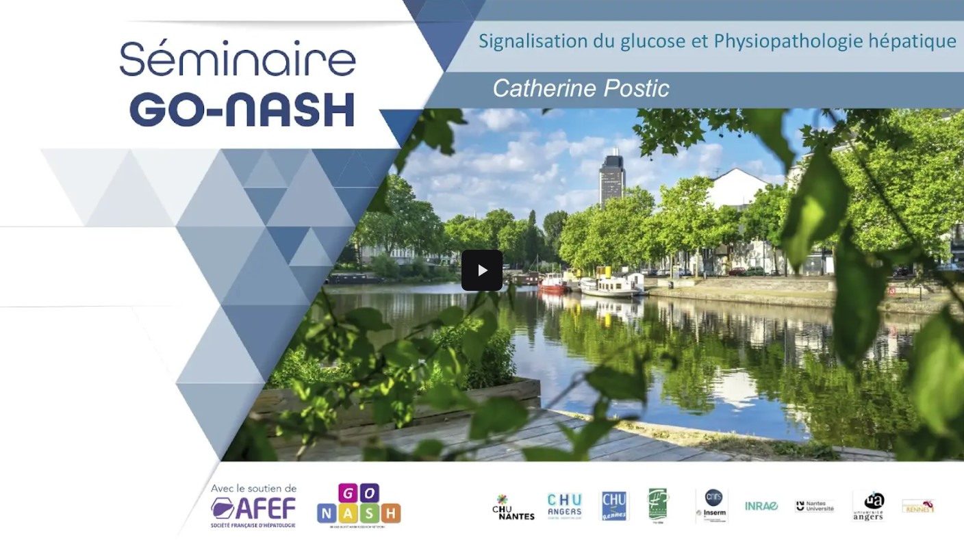 Go Nash 2026 - Catherine Postic